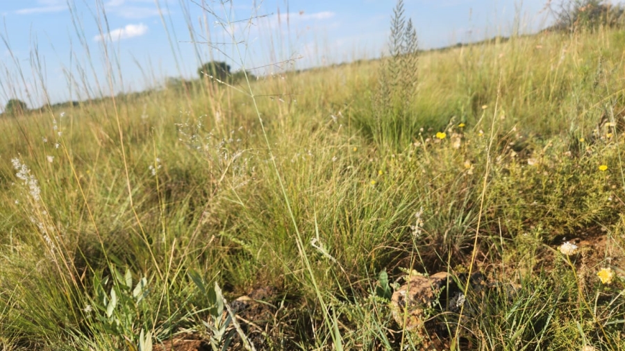 Commercial Property for Sale in Lichtenburg Rural North West